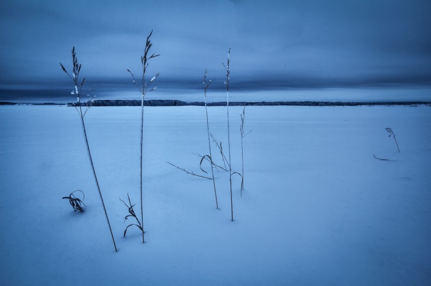 Grain Stocks - Fairview, Alberta