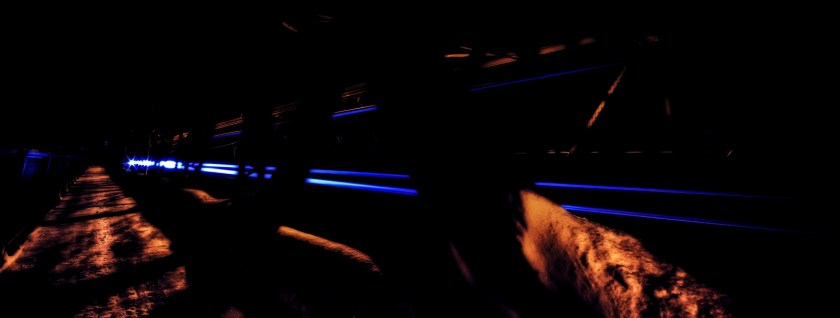 Edmonton's Low Level Bridge 3