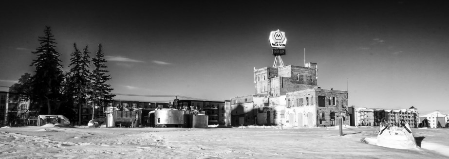 Molson's  Edmonton Site 5