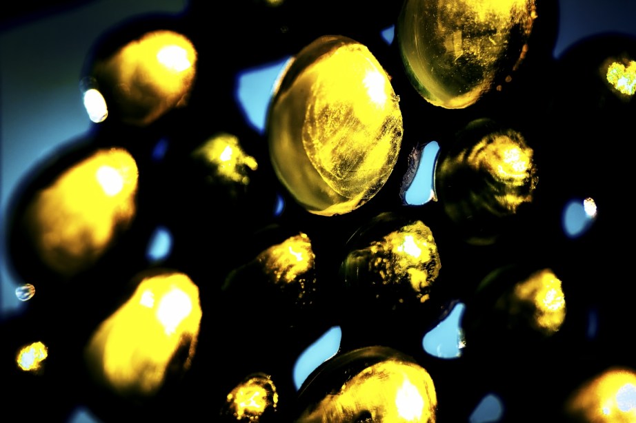 Stained Glass 1