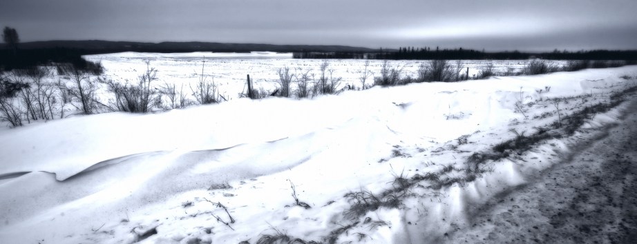 Fields of Home 1