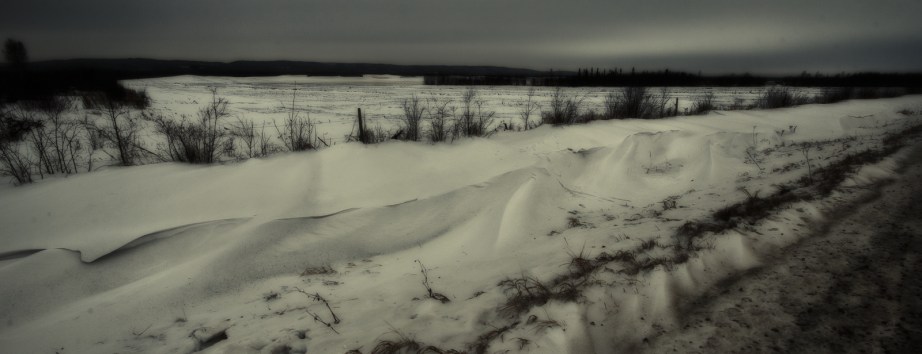 Fields of Home 2