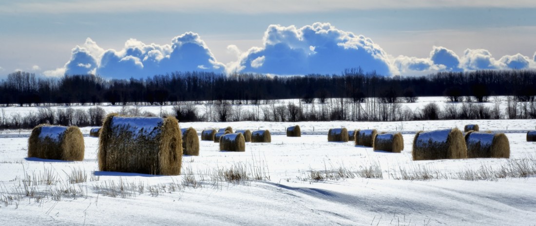 Hay Bale - Fields
