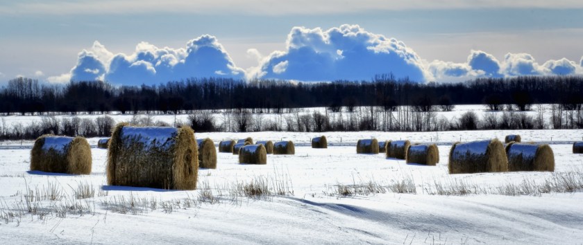 Hay Bale - Fields
