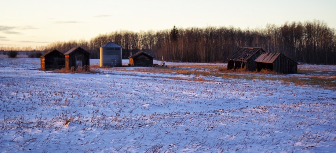 7 Farming Buildings - Nampa, Alberta 1