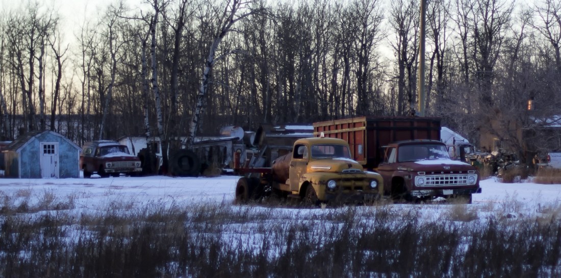 8 Ford & Mercury Trucks 1
