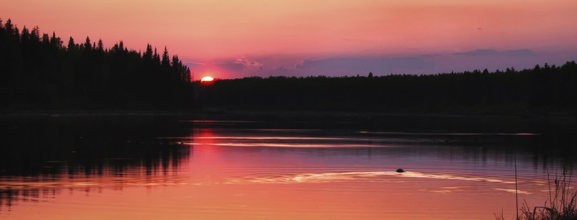 Beaver and Sunset - Dixonville, Alberta