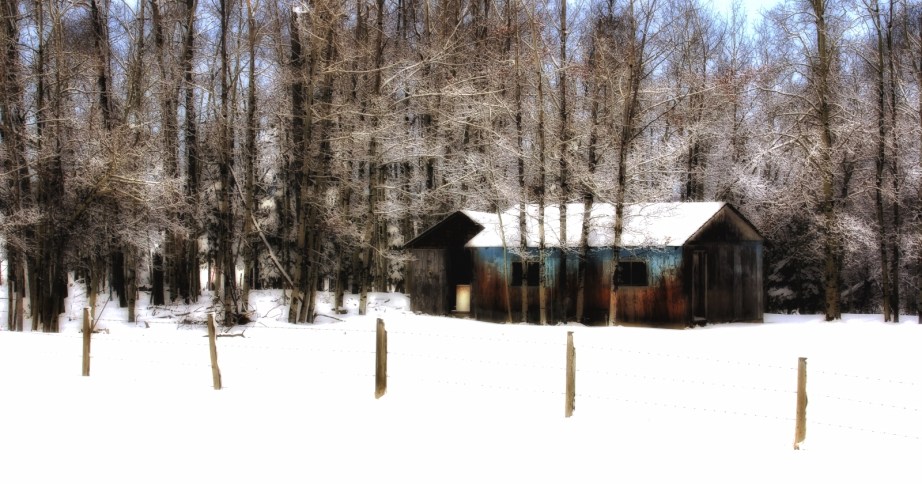 Former Farm 2