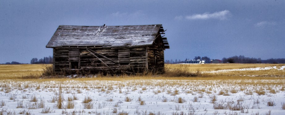 Homestead I