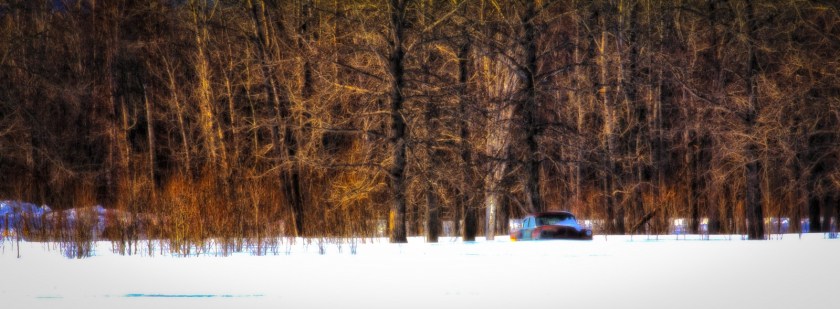 Sedan Among Trees - Valleyview, Alberta 1