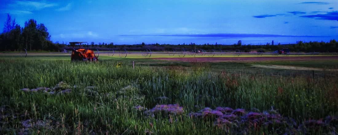 Sod Farm - High Level, Alberta