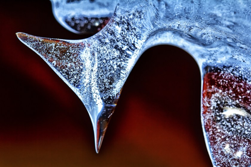 Winter Psychedelic 1