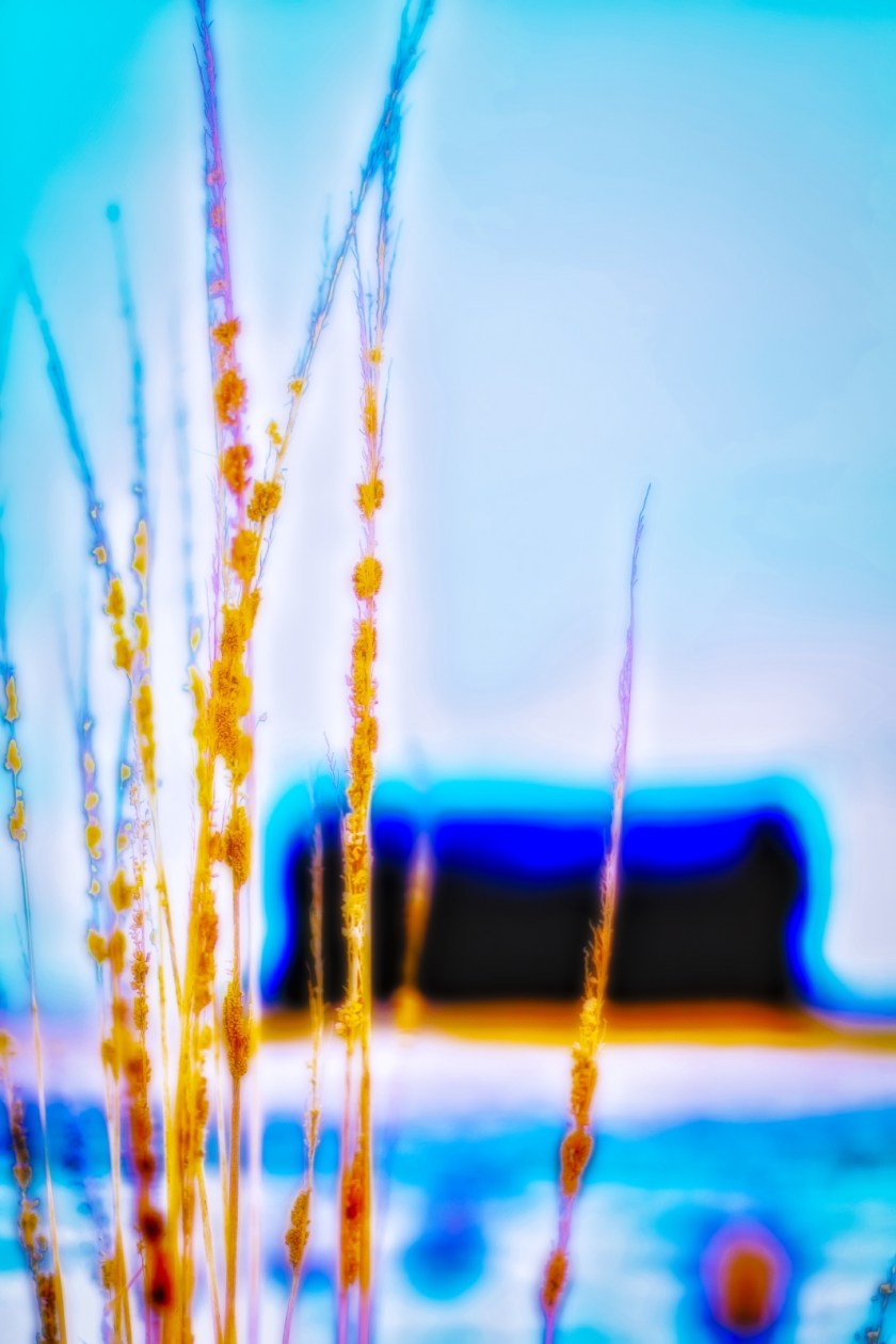 Winter Psychedelic 3