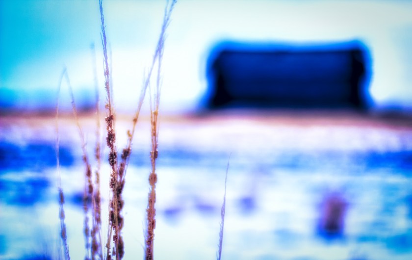 Winter Psychedelic 4