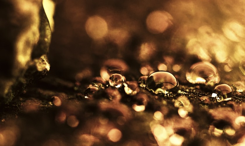 Edge & Sphere - Sexsmith, Alberta 4