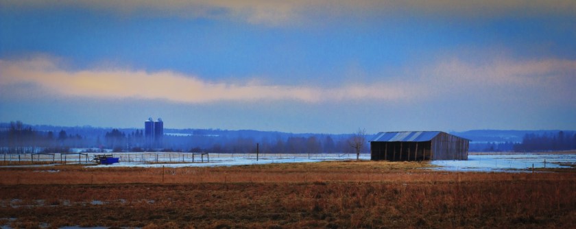 Farm - Rimbey, Alberta 2