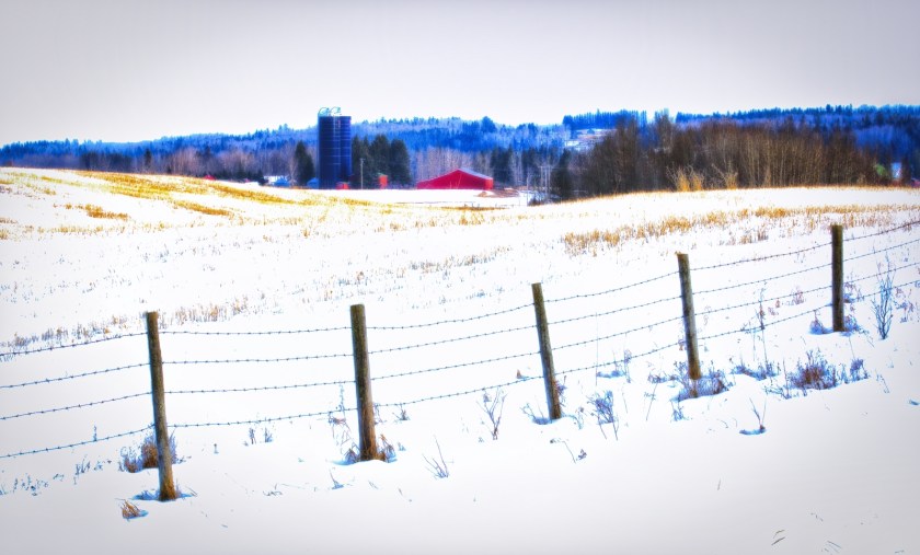 Farm - Rimbey, Alberta
