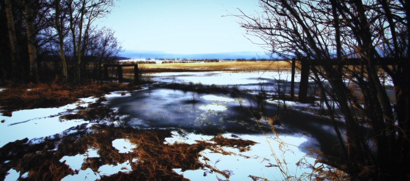 Field Entrance - Woking, Alberta