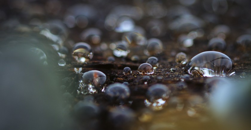 Water & Railroad Tie - Sexsmith, Alberta 1