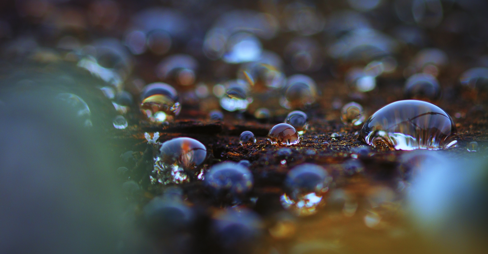 Water & Railroad Tie - Sexsmith, Alberta 2