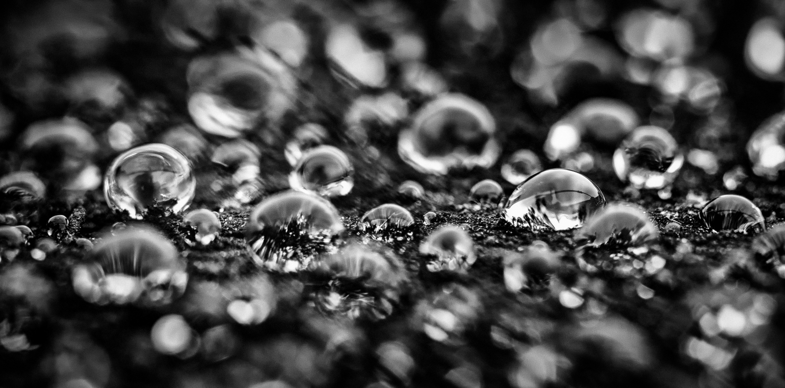 Water & Railroad Tie - Sexsmith, Alberta 3