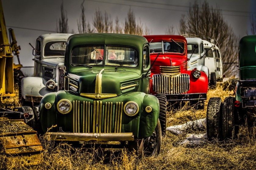 47 Ford Among Trucks - Sangudo, Alberta