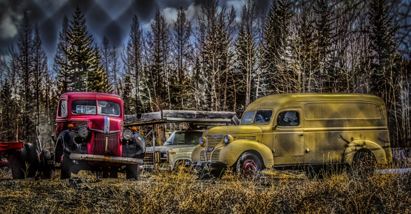 Cab and Chassis and Panel Van 3