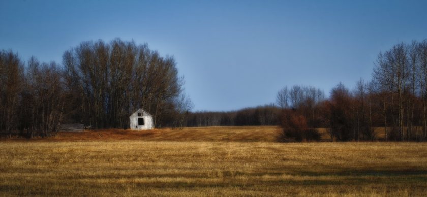 Grain Shed - Near Figure 8 Lake, Alberta