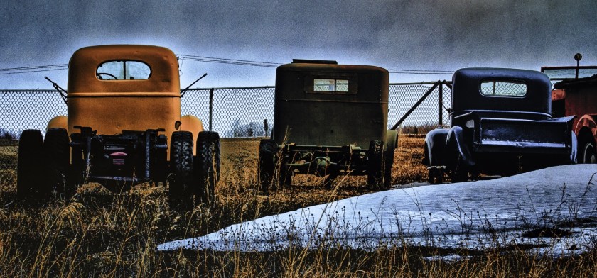 Waiting - Looking On, Sangudo, Alberta