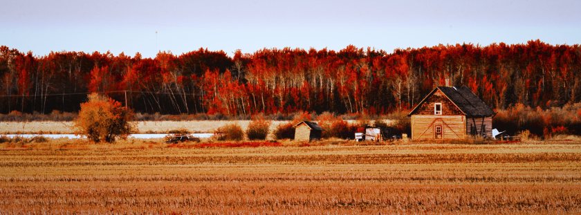 Homestead - Fort Vermilion, Alberta 1