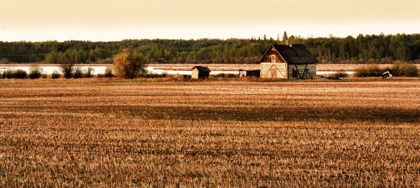 Homestead - Fort Vermilion, Alberta 2