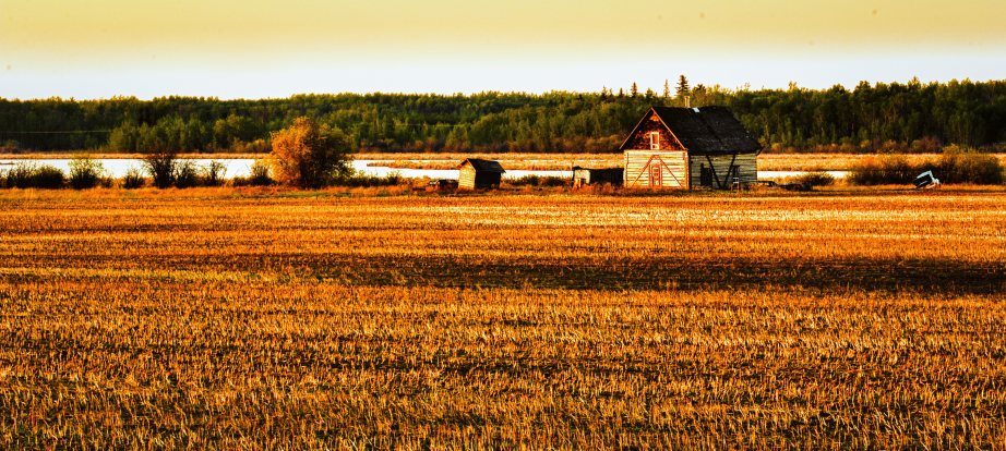 Homestead - Fort Vermilion, Alberta 3