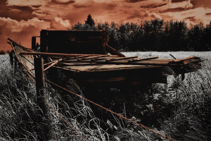 Chevrolet Grain Truck - Edmonton, Alberta 4