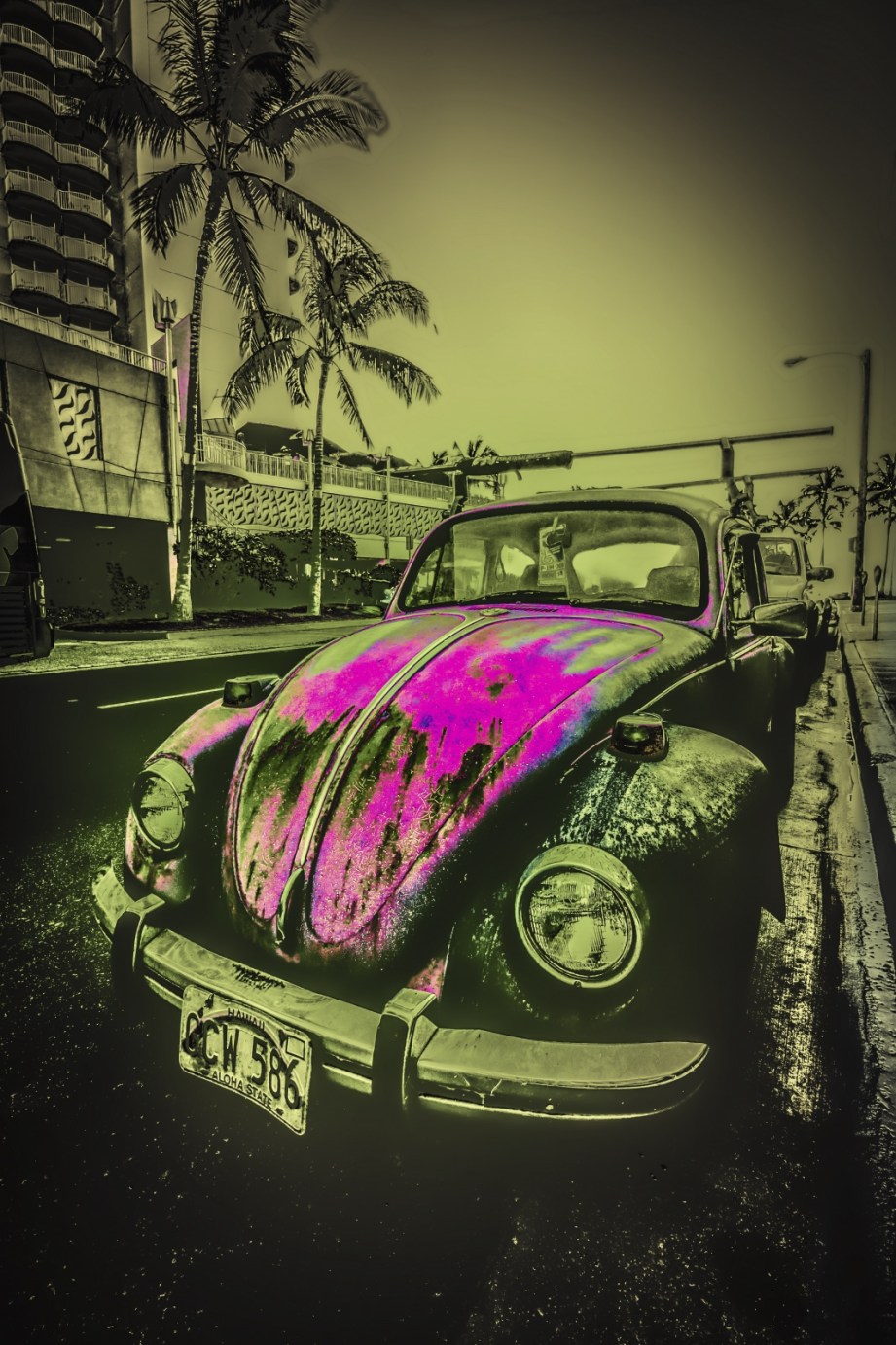 Morning's Walk - Honolulu, Oahu, HI 3
