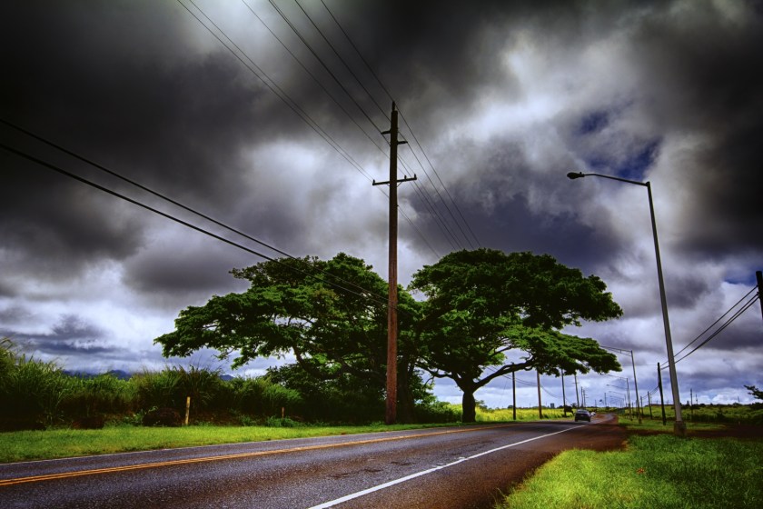 3 Along the Way - North Shore 1