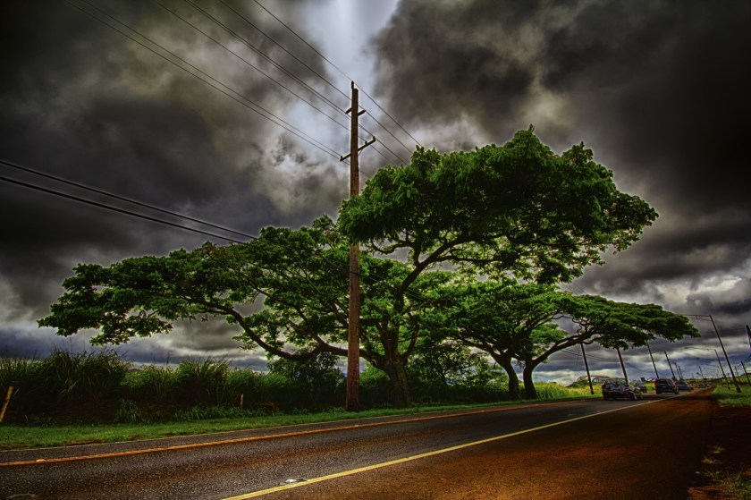 4 Along the Way - North Shore 2