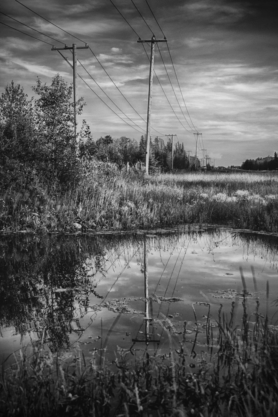 Alberta Reflection - Grande Prairie 1