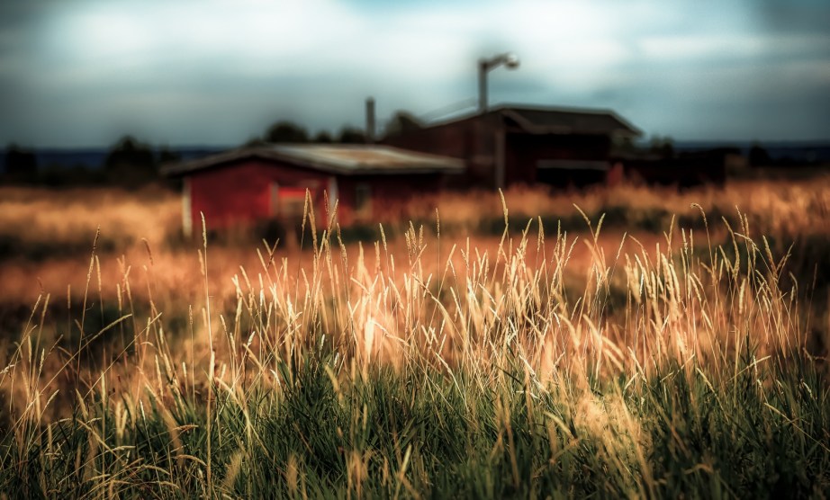 Derelict Farm Buildings - Valleyview, Alberta