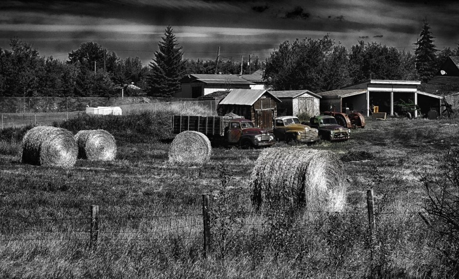 Field Shared - Greencourt, Alberta 1