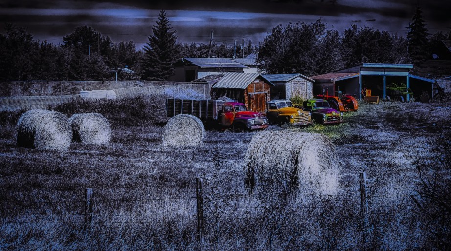 Field Shared - Greencourt, Alberta 2