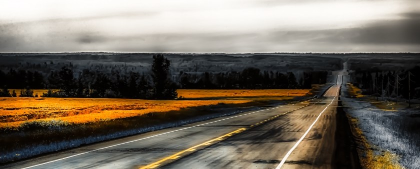 Grain Field - Valleyview, Alberta