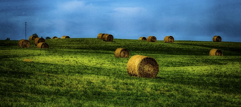 Round Bales - Sangudo, Alberta 3