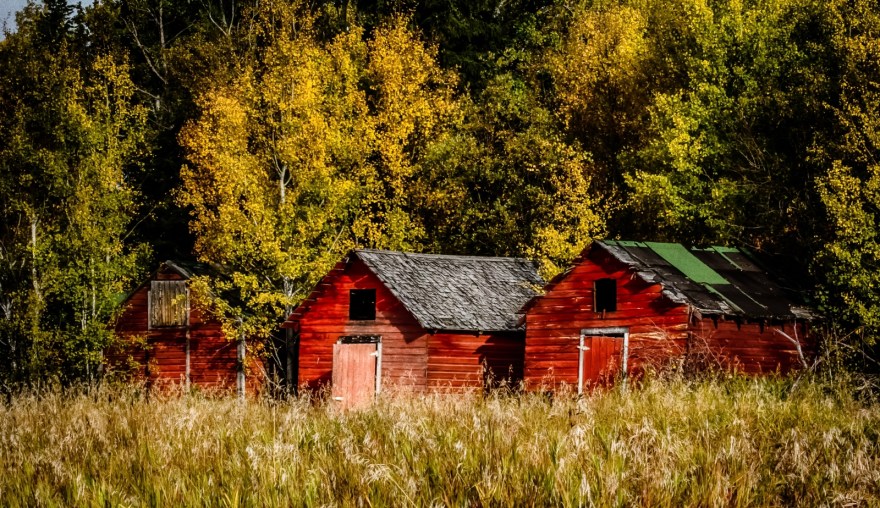 1 Grain Bins - Manning, Alberta