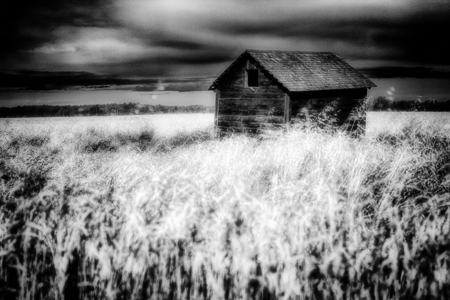 Grain Bin - Dixonville, Alberta 3