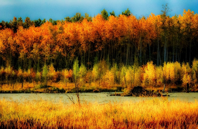 Morning Colours - Keg River, Alberta 1