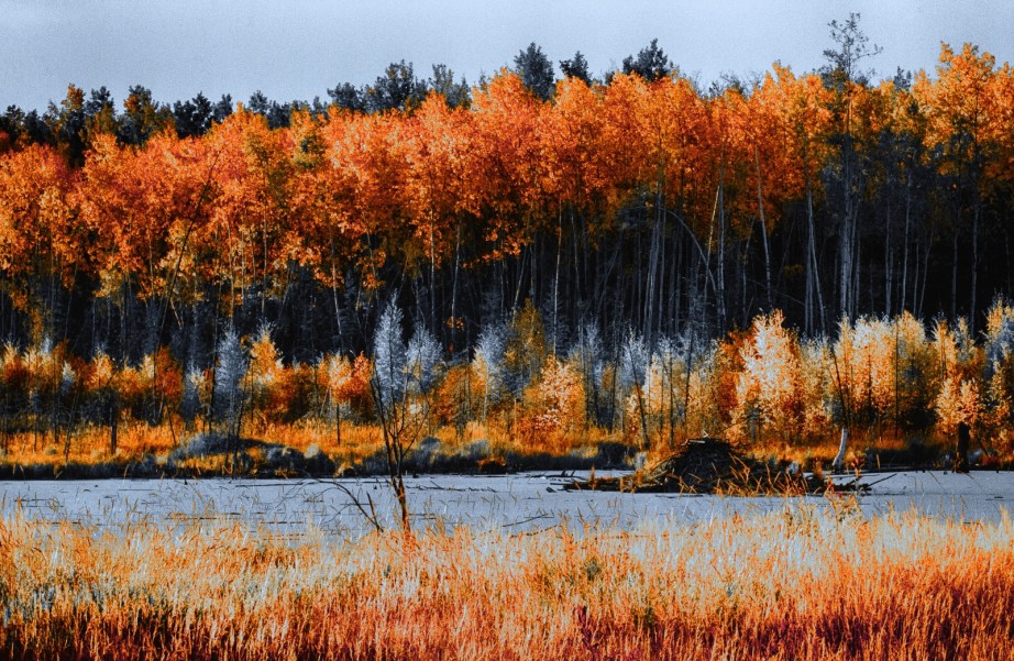 Morning Colours - Keg River, Alberta 2