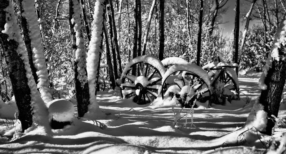 Wagon Wheels - McNaught Homestead 2