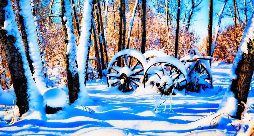 Wagon Wheels - McNaught Homestead 3