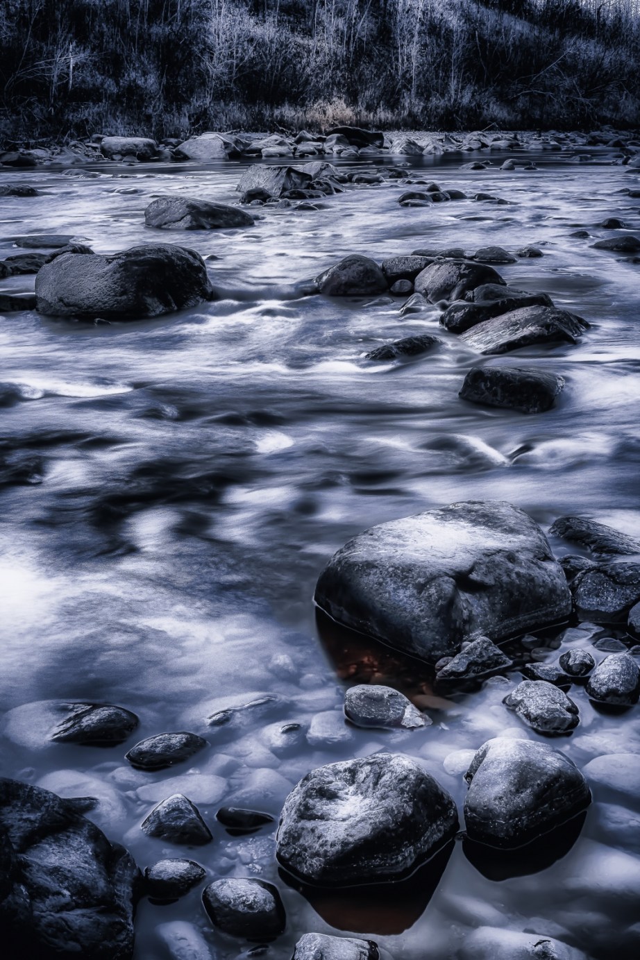 Along the Meikle River - Manning, Alberta 3