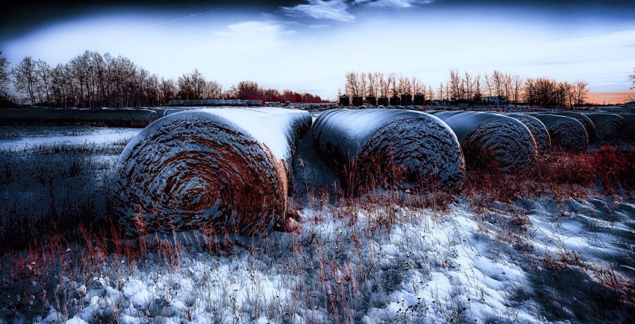 Golden Hour Hay Bales - Sexsmith, Alberta 2